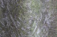 Landwade fibreglass roof work